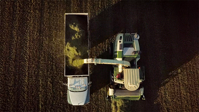 Aerial view of a tractor harvesting crops and spitting the corn into the bed of a nearby truck on Monument Dairy Farm where they produce fresh Vermont milk