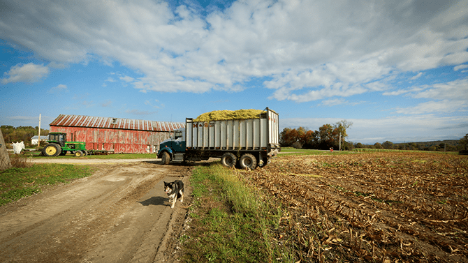 A dog walks along a field with a truck behind him holding clippings, on the Monument Dairy Farm where you can schedule a Vermont farm tour.