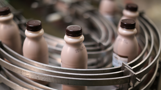 How is milk made? Pints of Monument fresh local chocolate milk travel down the bottling line.